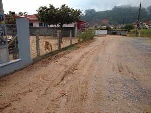 samae-realizou-extensao-de-rede-de-agua-numa-rua-do-bairro-trinta-reis