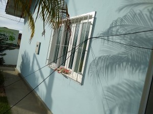 ciclone-tropical-prejudicou-alguns-servicos-do-samae