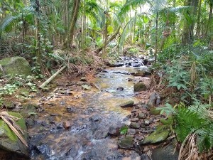 samae-realizou-processo-de-contratacao-para-construcao-da-barragem-da-nova-captacao