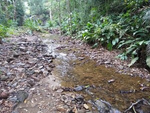 samae-e-prefeitura-decidiram-acoes-para-amenizar-os-problemas-causados-pela-estiagem-historica