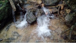 nova-captacao-de-agua-no-distrito-de-claraiba-sera-implantada